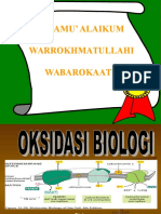 Oksidasi Biologi