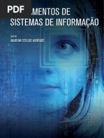 Fundamentos de Sistema Da Informação 2017