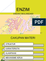 ENZIM