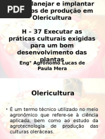 C   8 H - 37 Olericultura.ppt