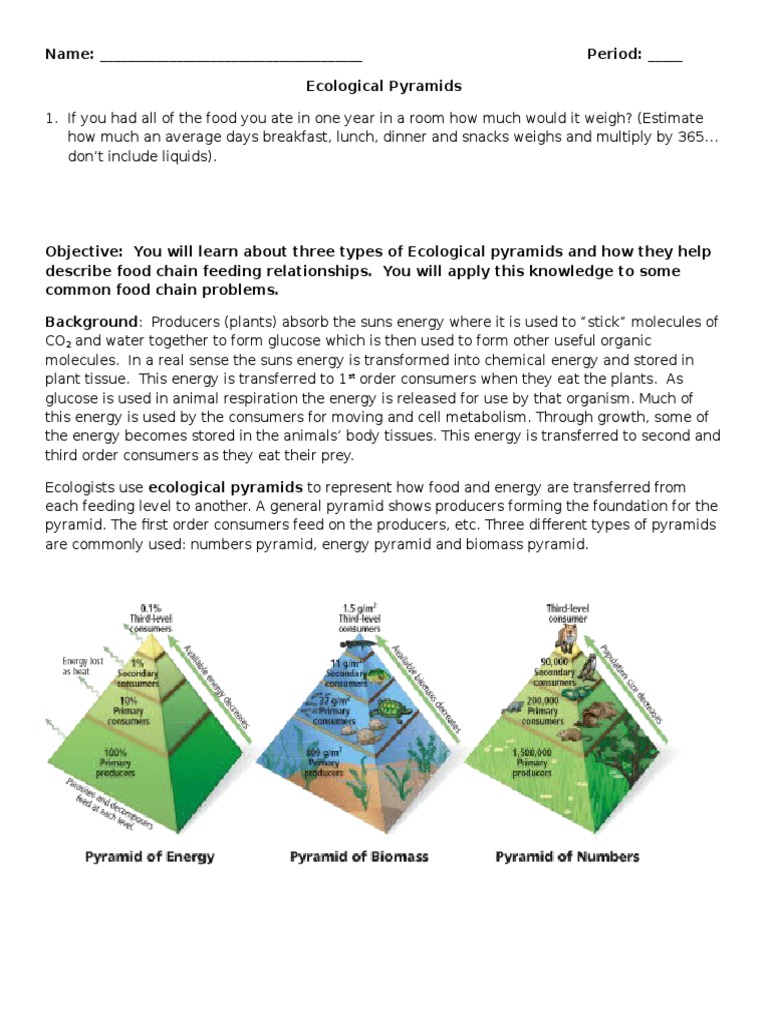 Ecological Pyramids Worksheet  PDF  Ecology  Eating Throughout Ecological Pyramids Worksheet Answers
