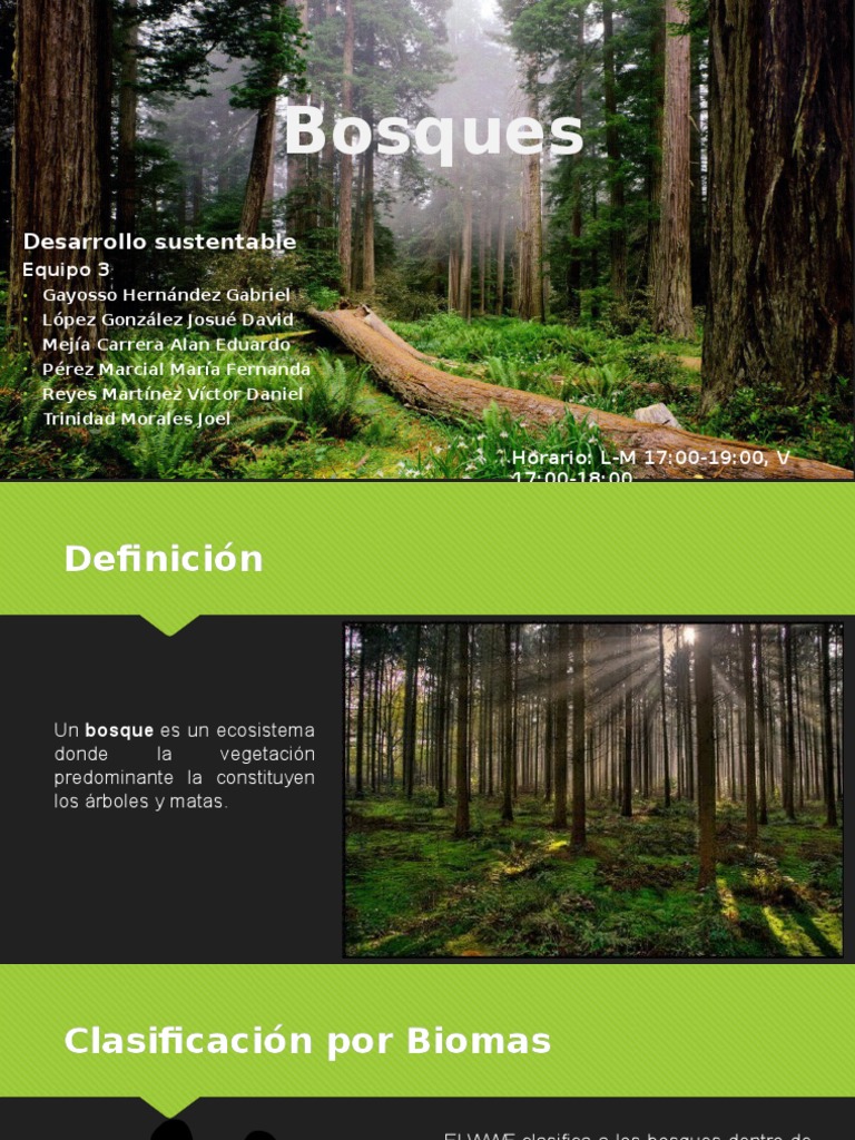 Bosques Forests Trees