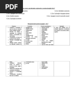 Planejamento Anual 2017