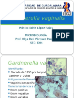 Gardnerella 