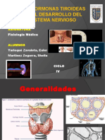 HT en El Desarrollo Del SN