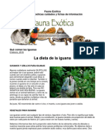 FAUNA EXOTICA - Dieta de La Iguana Verde
