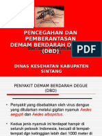 Penyuluhan DBD 4