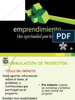 Ev1 Formulacion de Proyecto