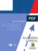 Álgebra Lineal - Rocío Buitrago Alemán.pdf