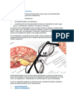 Los Aminoácidos y Sus Funciones. Alimentos Ricos en Proteina y Funciones de Las Proteinas.