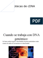 Genotecas de CDNA