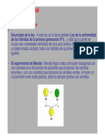 Leyes de Mendel y Cuadro de Punnet