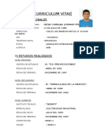 Curriculum Vitae Electrico