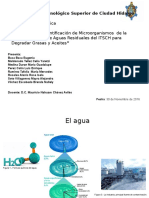 Identificación de microorganismos degradadores de grasas y aceites en la PTAR del ITSCH