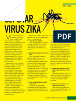 VIRUS ZIKA - Promkes Depkes RI 2016