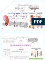 Mapas - Bayas Maryuri - Grupo.10