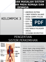 Anatomi Dan Masalah Sistem Perkemihan Pada Remaja Dan Dewasa