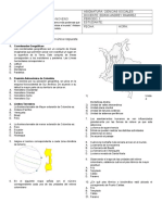 Evaluación de Geografia Fisica de Colombia 1