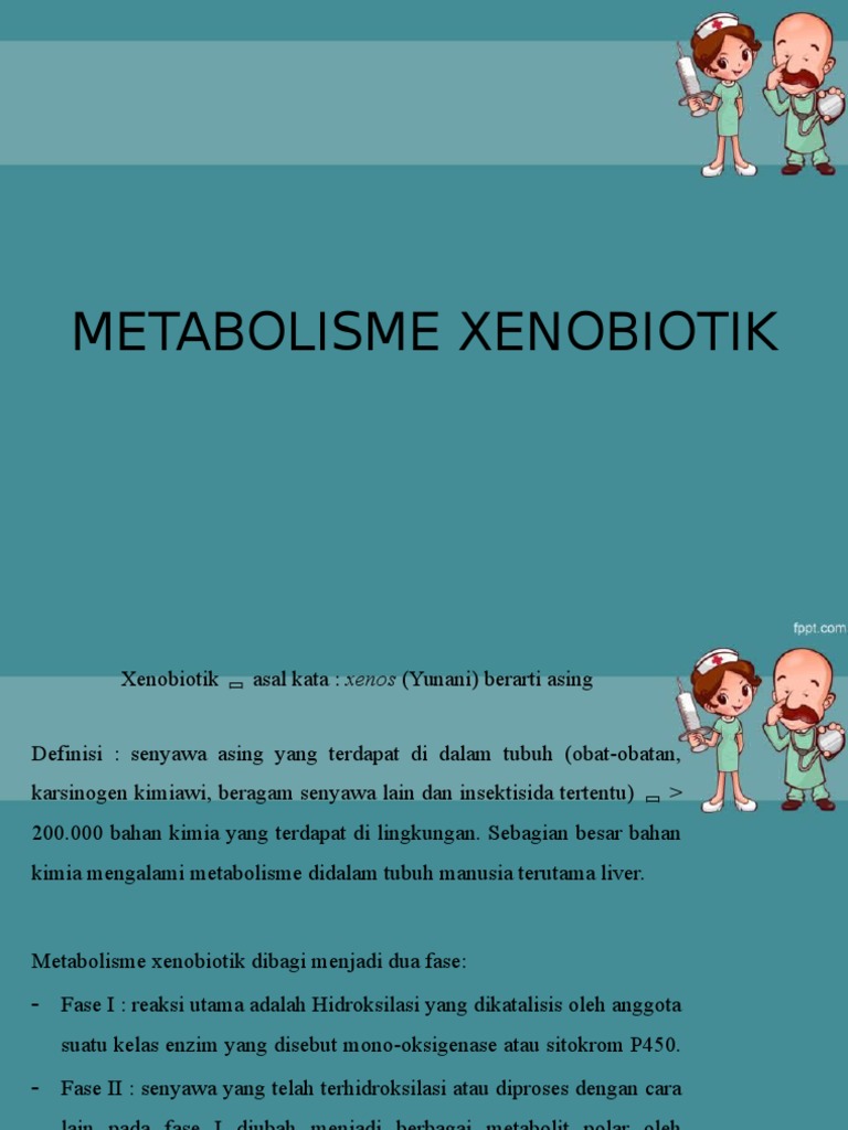 Metabolisme Xenobiotik