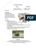 Disertación Hipopótamo Primero Básico PDF