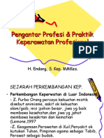 Pengantar Profesi & Praktik Keperawatan Profesional 2