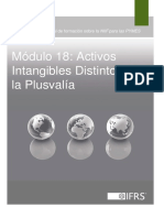 SECCION 18 ACTIVOS INTAGIBLES DISTINTOS DE LA PLUSVALIA.pdf
