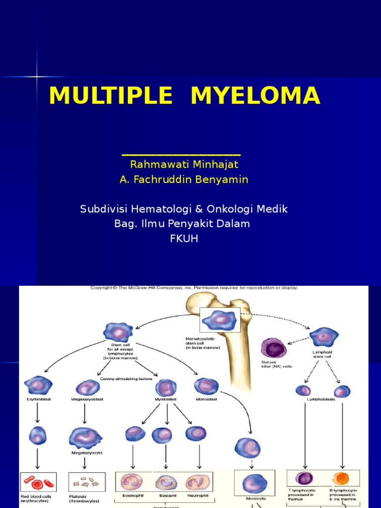 Multiple Myeloma Overview & Treatment | PDF
