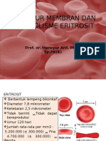 Struktur Membran Dan Metabolisme Eritrosit OK