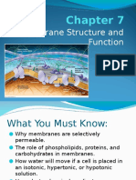 ch  7 cell membrane f15 ppt