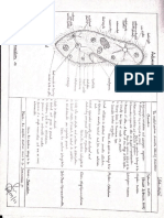 1st yr practical.pdf