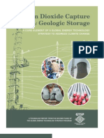 Captura de Dióxido de Carbono y Almacenamiento Geológico