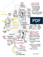 Anatomy Orbit and Eyelid - Washed