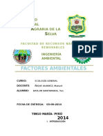 Informe 1