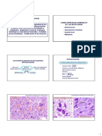 Atlas de Anatomía: Neoplasias