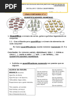 Quantificadores e Adjetivos Numerais