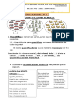 Quantificadores e Adjetivos Numerais