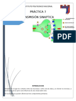 Transmisión sináptica: efecto de la fisostigmina