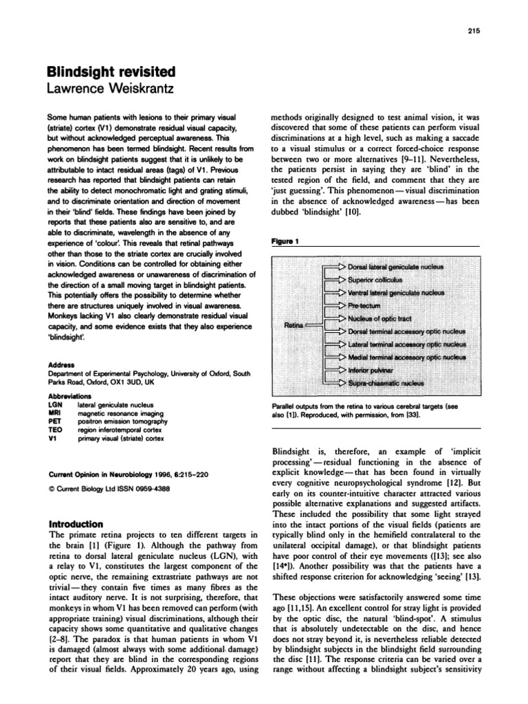 Weiskrantz Blindsight Revisited PDF Visual Cortex Visual System