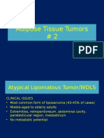 Adipose Tissue Tumors # 2