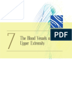 Blood Vessels of The Upper Extremities PDF