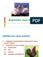 keperluan asas haiwan tahun 2.pptx