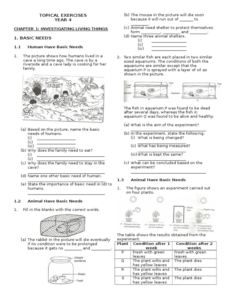 Topical Exercises Year 4: Chapter 1: Investigating Living Things | PDF ...