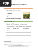 Cavaleiro Da Dinamarca_guiodeleitura