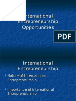 International Entrepreneurship Opportunities