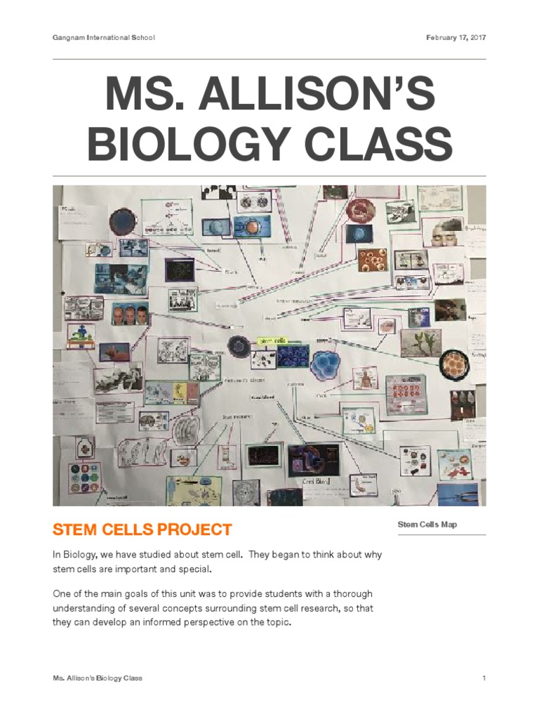 Stem Cell Research Project Overview | PDF