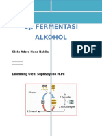 Makalah Fermentasi Alkohol