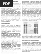 Noções de Probabilidade Genética