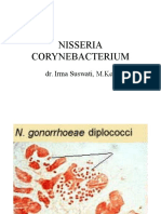 Nisseria Corynebacterium: Dr. Irma Suswati, M.Kes