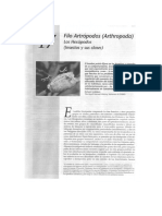Capitulo 17 Artrópodos - Los Hexápodos PDF