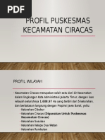 Download Profil Puskesmas Kecamatan Ciracas by Yunus Lumban Raja SN340026620 doc pdf